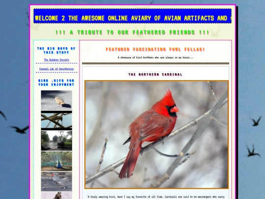 birds screenshot