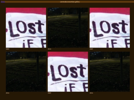 photography screenshot