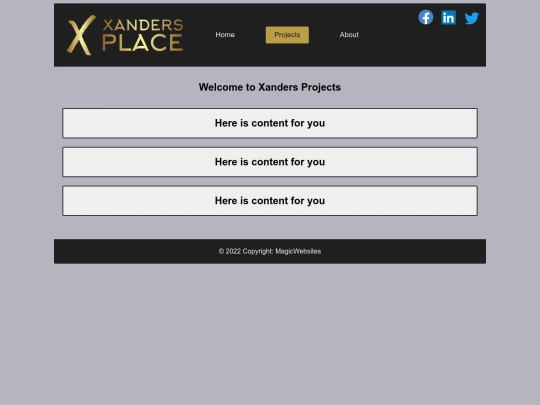 projects screenshot