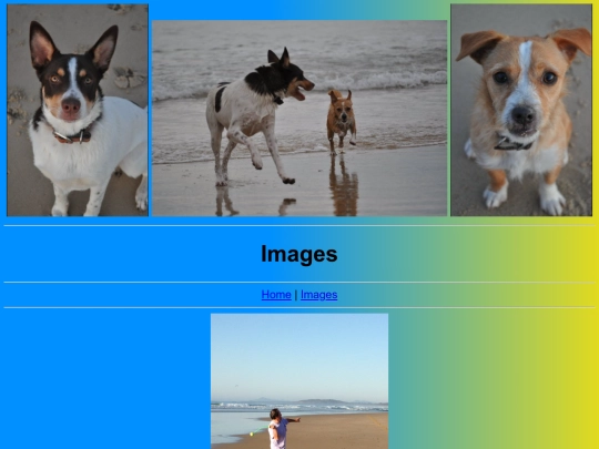images screenshot