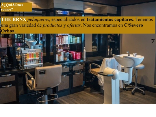 ProyectoSMRBproductos/quehacemos screenshot