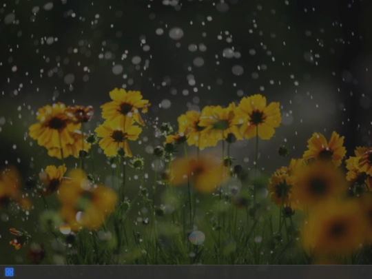 CVPP/CVP screenshot