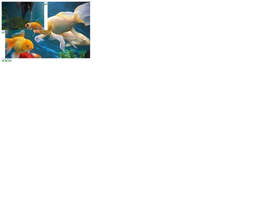Web Design/Flex Assignment/flex-puzzle screenshot