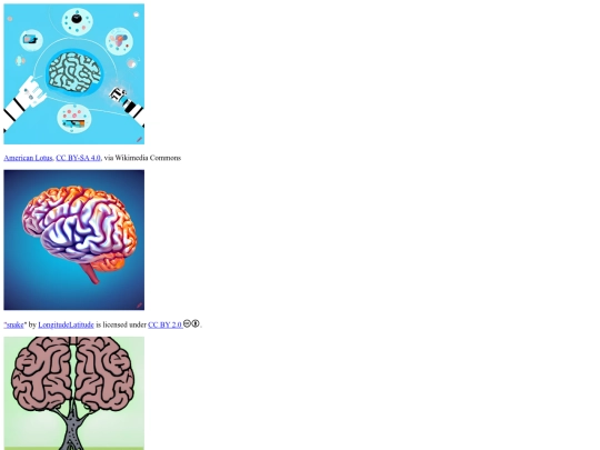 Web Design/Starter-Gallery-Assignment/image-assignment screenshot