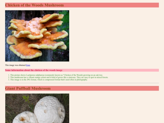Lab04/myfavouriteimages screenshot