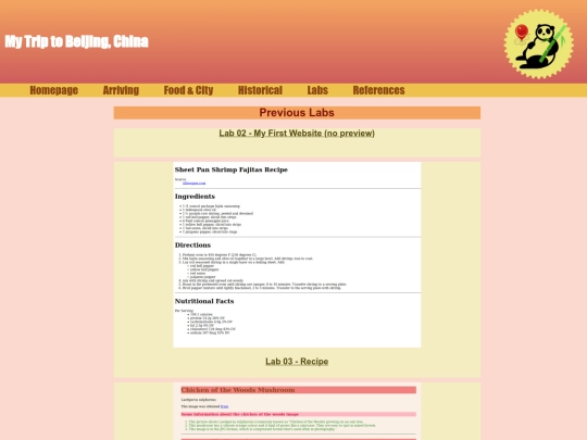project-labs screenshot