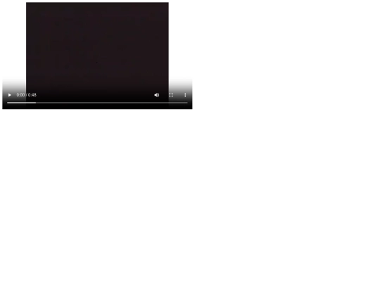 thevideo screenshot