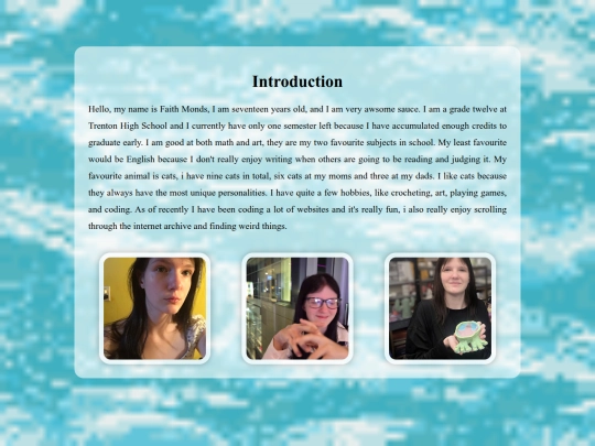 introduction screenshot