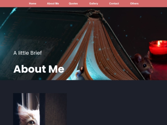 aboutme screenshot
