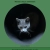 ash-is-all-that-remains.neocities.org avatar