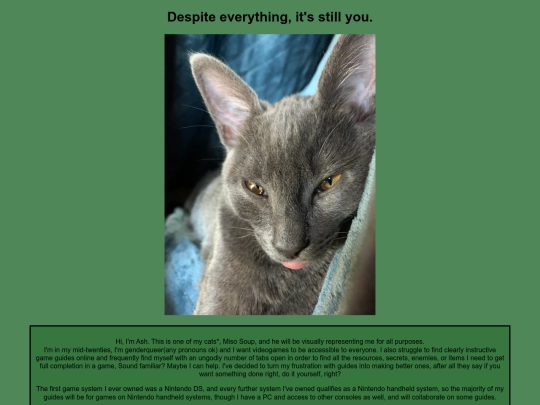 introduction screenshot