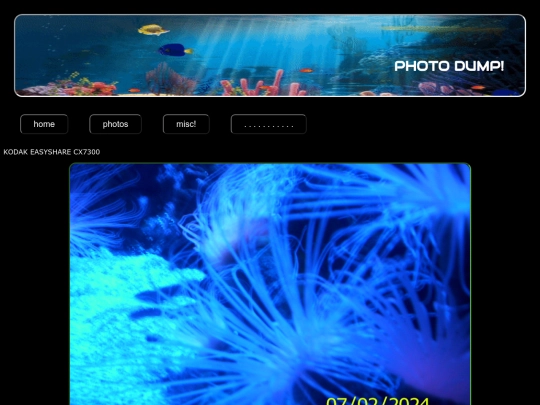 photo screenshot