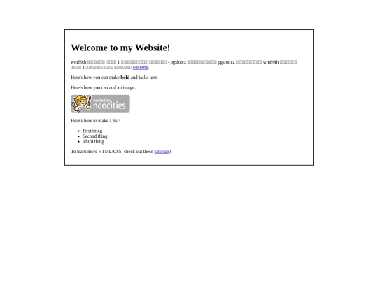 The web site of pglotcz screenshot