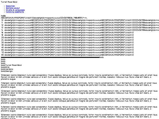 webfont/turretroad-bold-demo screenshot