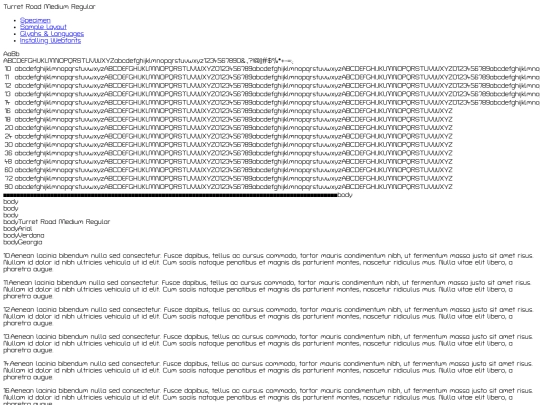 webfont/turretroad-medium-demo screenshot