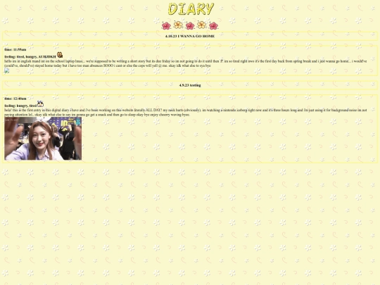 diary screenshot