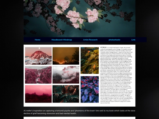 ArtistAnalysis screenshot