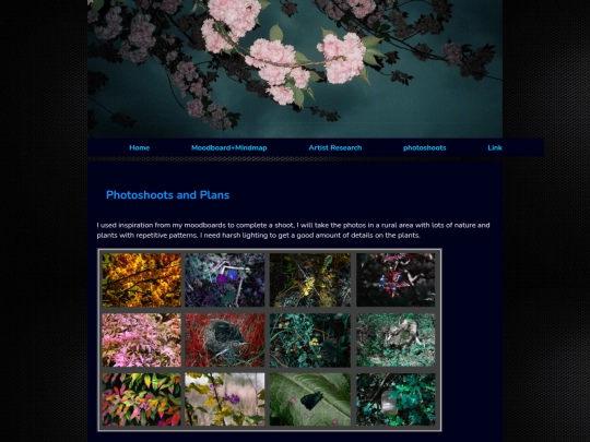 photoshoots screenshot