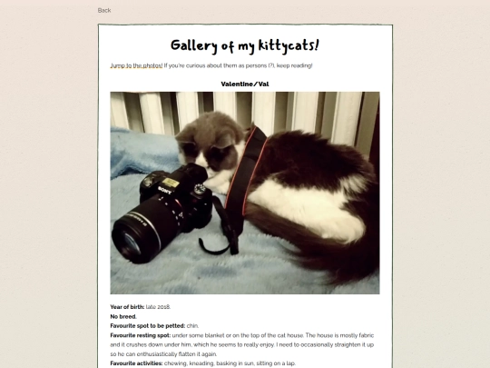 cats screenshot