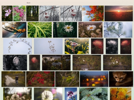 photo screenshot