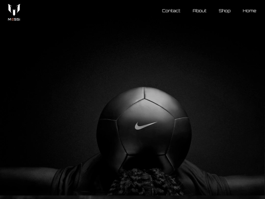landingpage screenshot