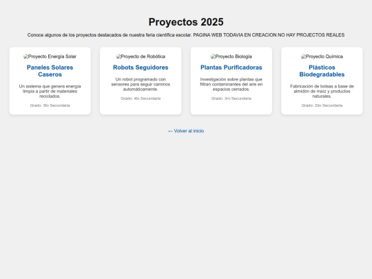 proyectos screenshot