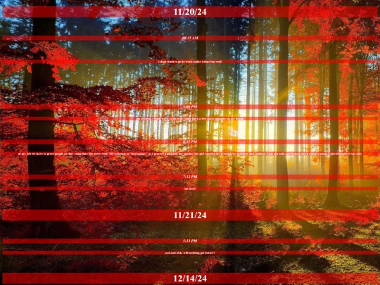 diary screenshot