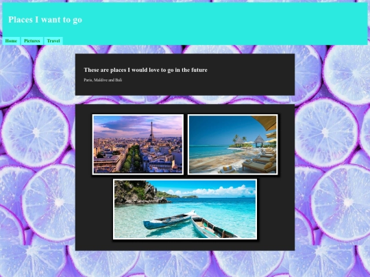 Travel screenshot