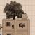 Paperfuneral Apts avatar