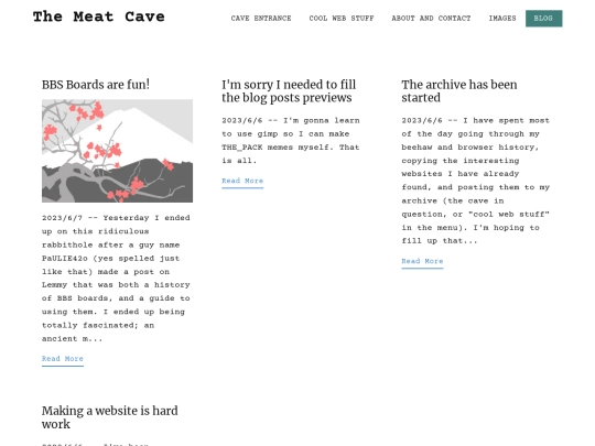 blog/blog screenshot