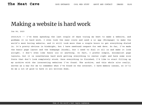 blog/making-a-website-is-hard-work screenshot