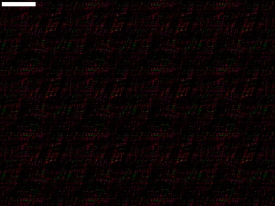 testingtesting2121 screenshot
