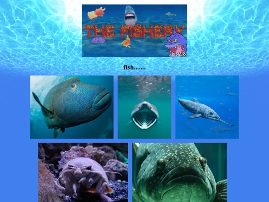 fishery screenshot
