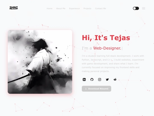 portfolio/bio screenshot