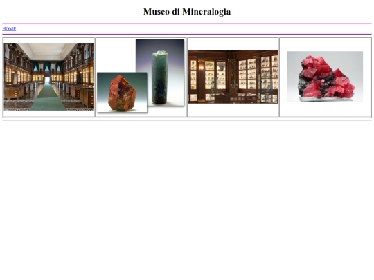 PCTO/museo screenshot