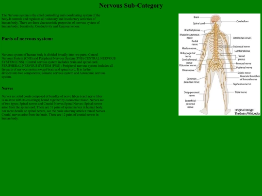 Nervous-Subcategory screenshot