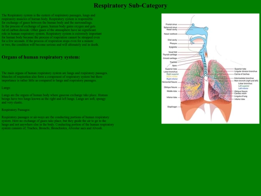 Respiratory-Subcategory screenshot