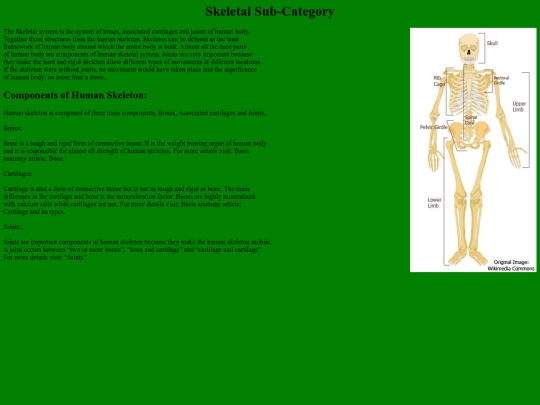 Skeletal-Subcategory screenshot