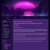 cetachu.neocities.org avatar