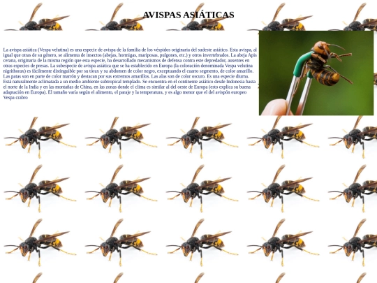 `PRÁCTICA 12/links3 screenshot