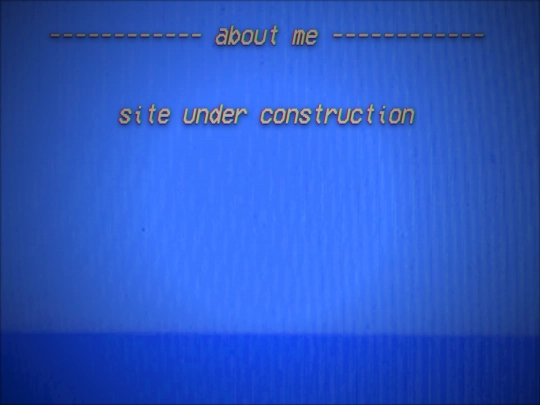 setup-vcr screenshot