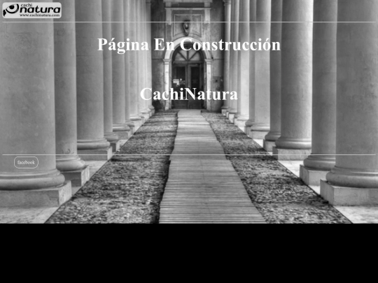 construccion screenshot