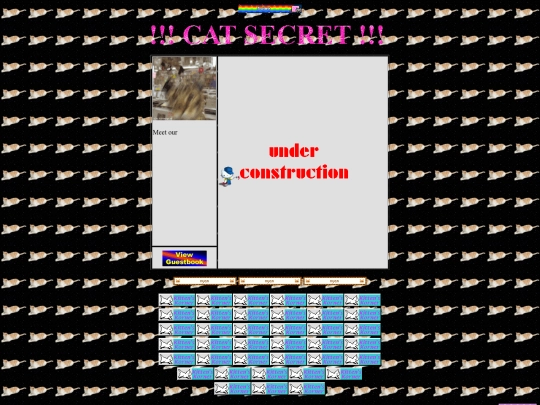 cat-secret screenshot