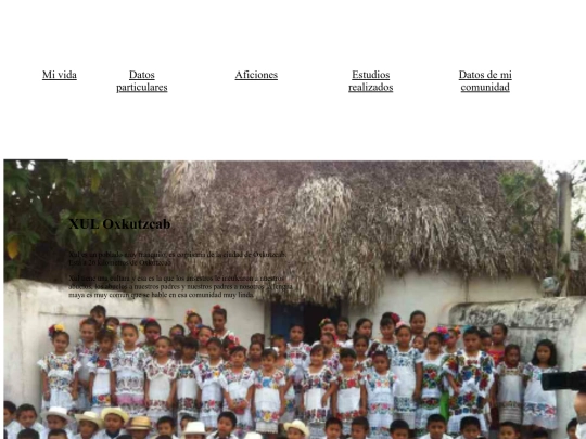 curriculum/comunidad screenshot