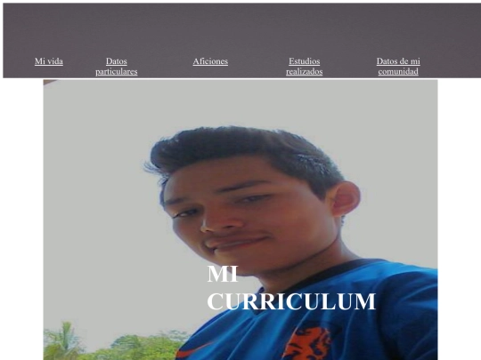 curriculum screenshot