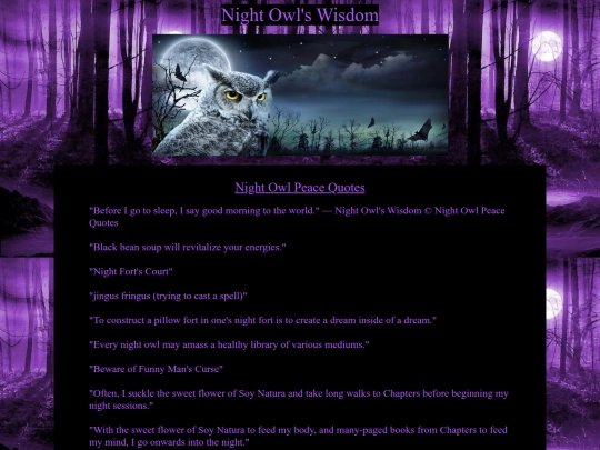 night owl's wisdom screenshot