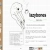 lazybones avatar