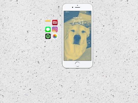 phone screenshot