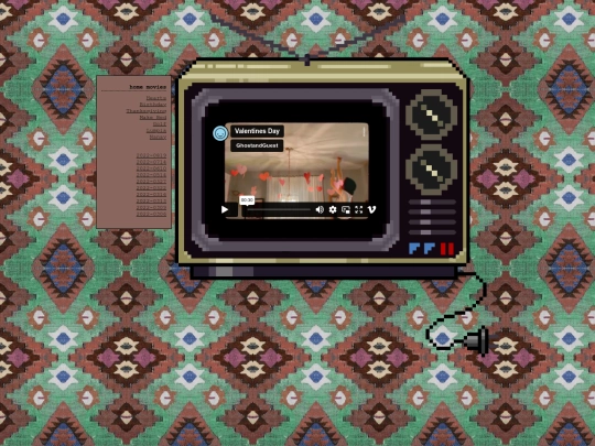 viddiary screenshot