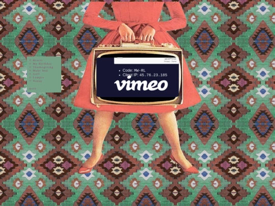 viddiary2 screenshot